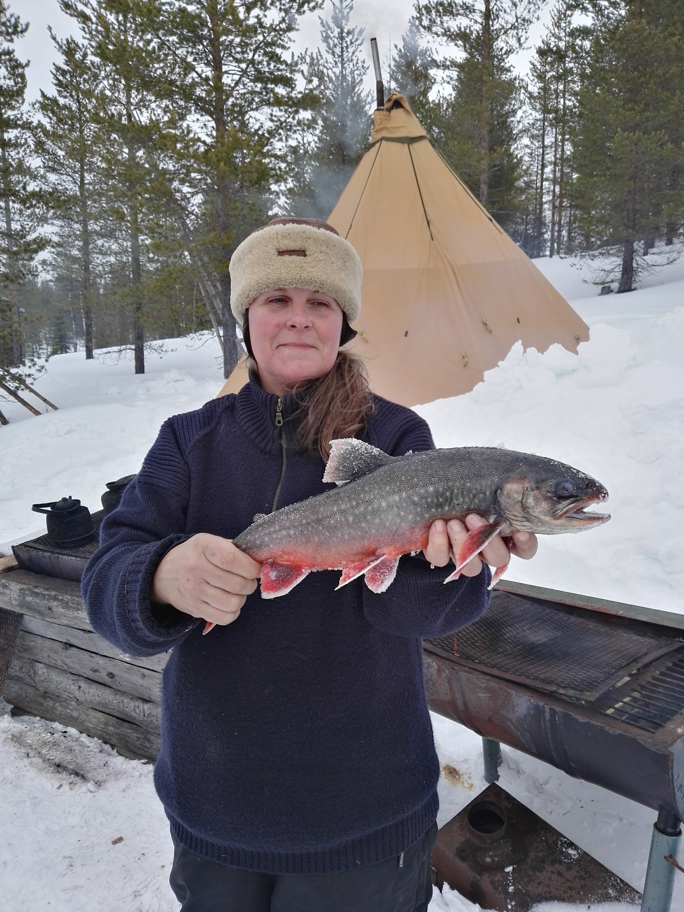 Natursafari i Abborrträsk